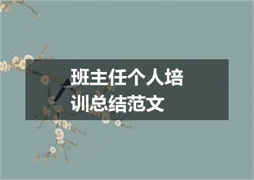 班主任个人培训总结范文