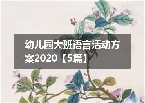 幼儿园大班语言活动方案2020【5篇】
