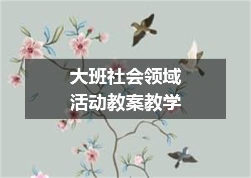 大班社会领域活动教案教学