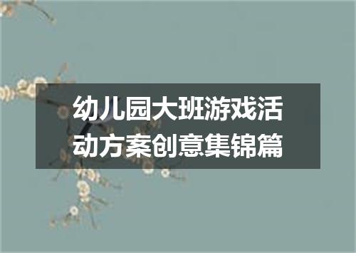 幼儿园大班游戏活动方案创意集锦篇
