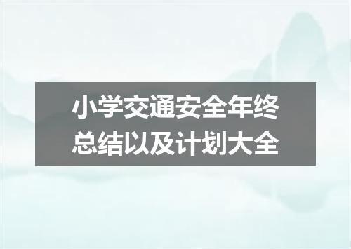 小学交通安全年终总结以及计划大全