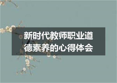新时代教师职业道德素养的心得体会