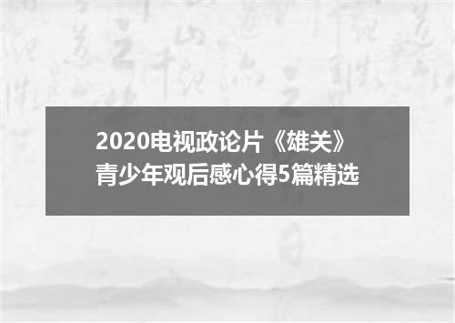 2020电视政论片《雄关》青少年观后感心得5篇精选