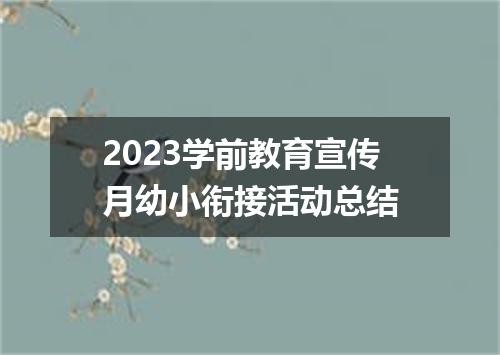 2023学前教育宣传月幼小衔接活动总结