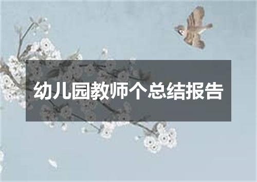 幼儿园教师个总结报告