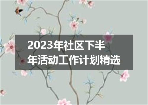 2023年社区下半年活动工作计划精选