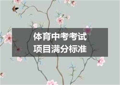 体育中考考试项目满分标准