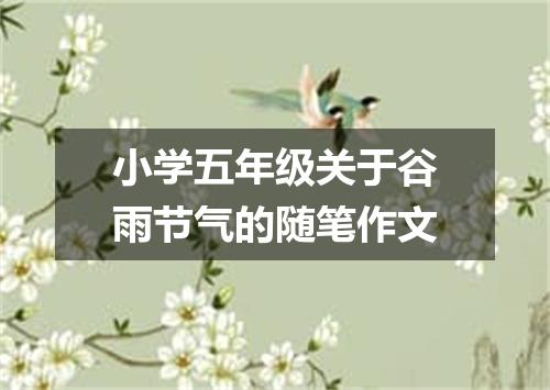 小学五年级关于谷雨节气的随笔作文