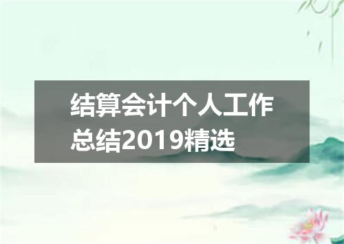 结算会计个人工作总结2019精选