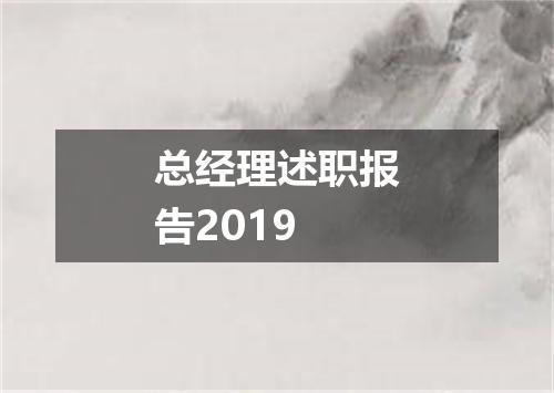 总经理述职报告2019