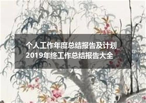 个人工作年度总结报告及计划_2019年终工作总结报告大全