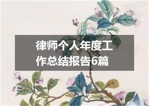 律师个人年度工作总结报告6篇