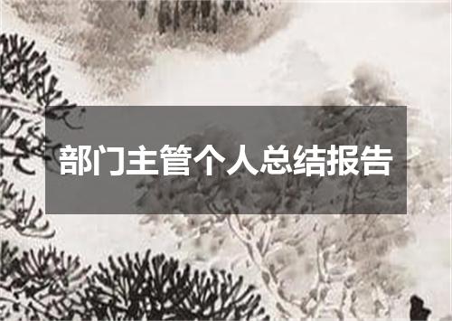 部门主管个人总结报告