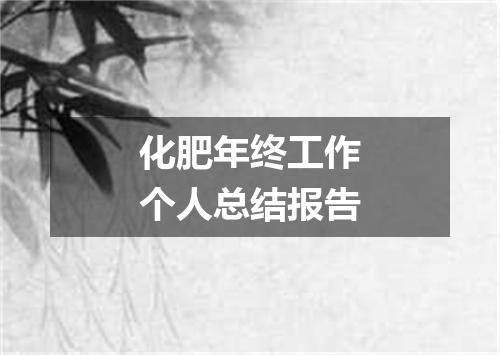 化肥年终工作个人总结报告