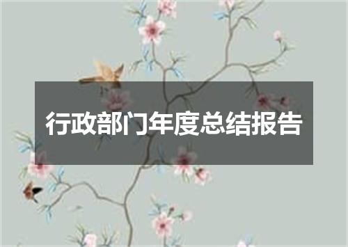 行政部门年度总结报告