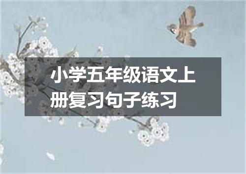 小学五年级语文上册复习句子练习