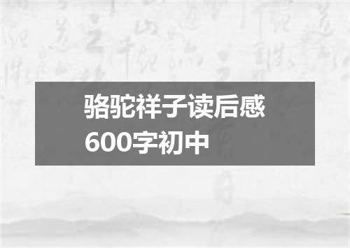 骆驼祥子读后感600字初中