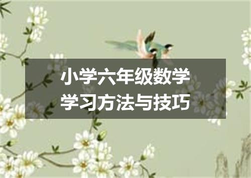 小学六年级数学学习方法与技巧