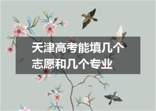 天津高考能填几个志愿和几个专业