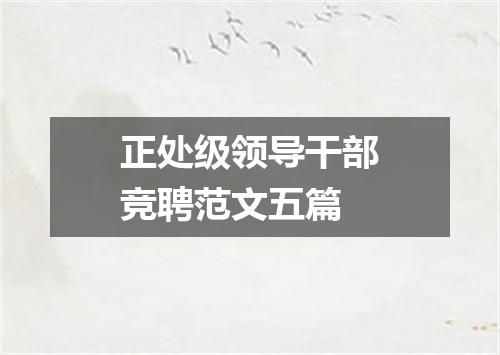 正处级领导干部竞聘范文五篇