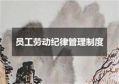 员工劳动纪律管理制度