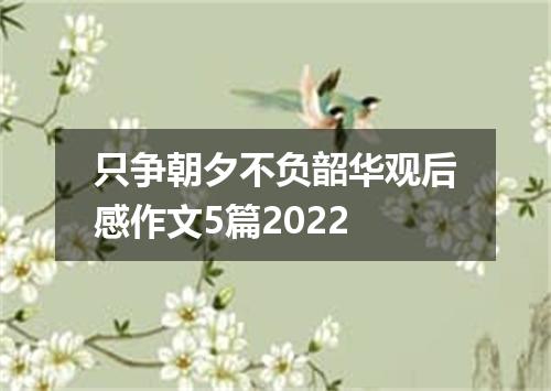 只争朝夕不负韶华观后感作文5篇2022