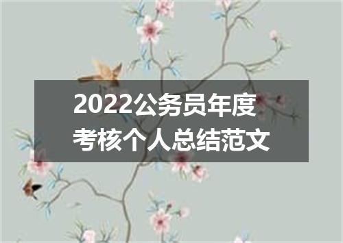 2022公务员年度考核个人总结范文
