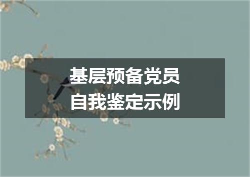 基层预备党员自我鉴定示例