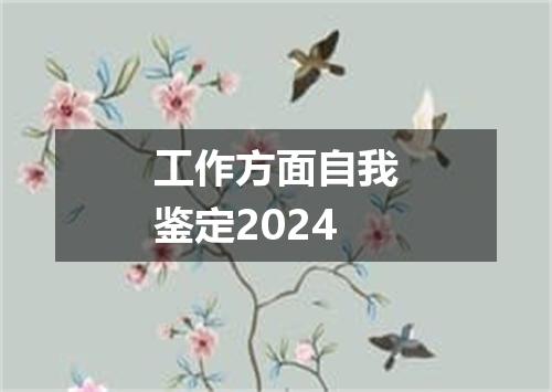 工作方面自我鉴定2024