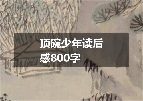 顶碗少年读后感800字