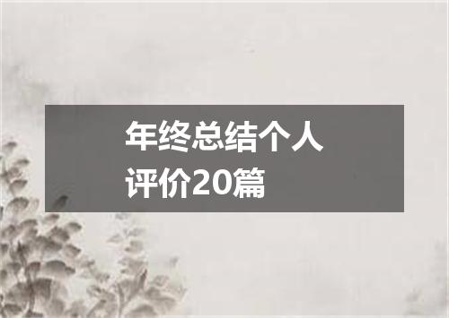 年终总结个人评价20篇