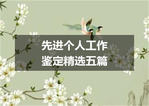 先进个人工作鉴定精选五篇