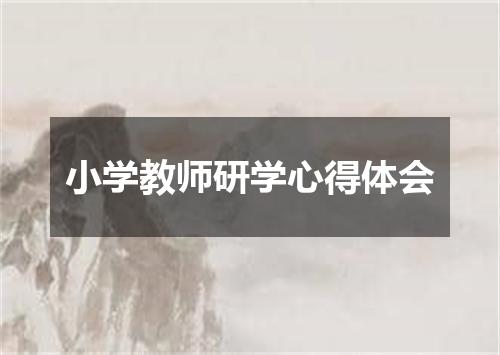 小学教师研学心得体会