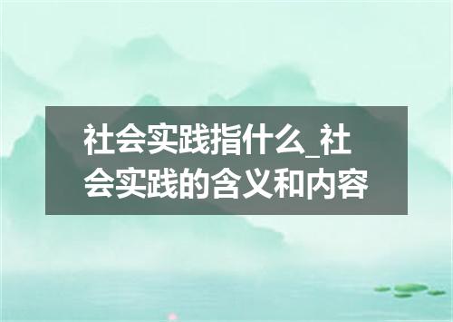 社会实践指什么_社会实践的含义和内容