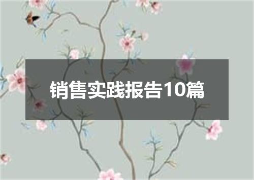 销售实践报告10篇