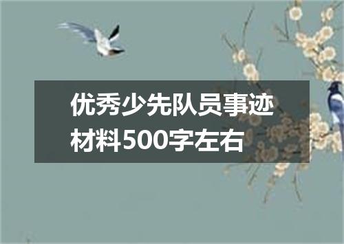 优秀少先队员事迹材料500字左右