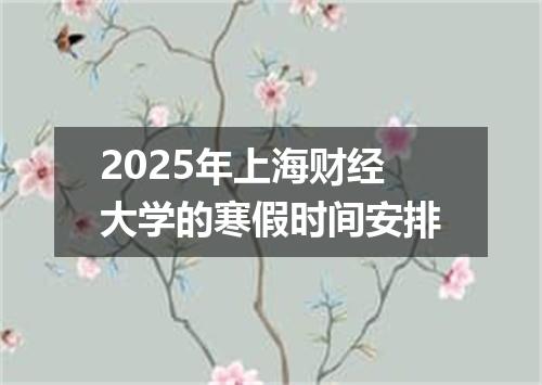 2025年上海财经大学的寒假时间安排