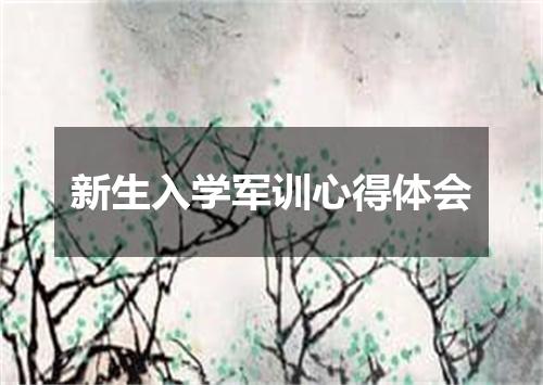 新生入学军训心得体会