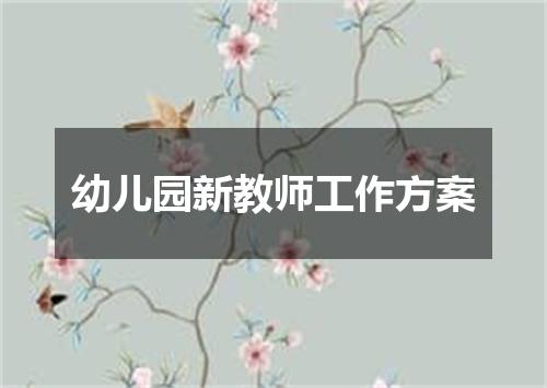 幼儿园新教师工作方案