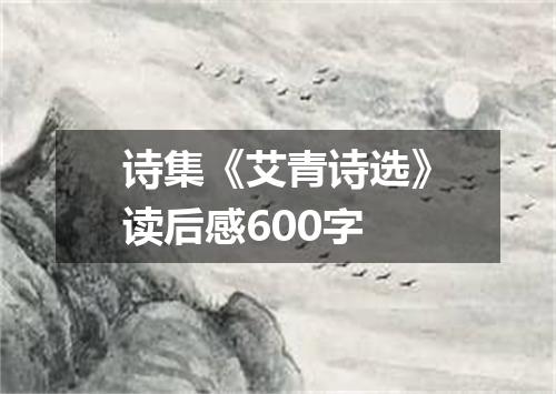 诗集《艾青诗选》读后感600字