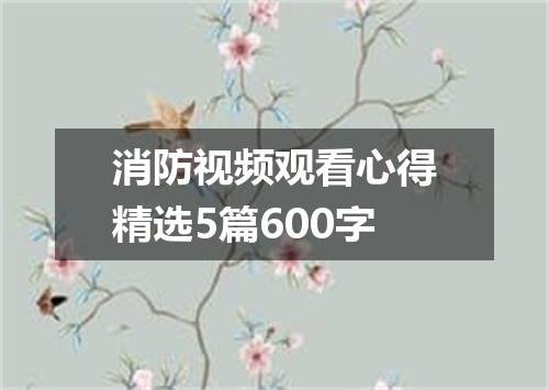 消防视频观看心得精选5篇600字