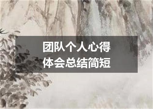 团队个人心得体会总结简短