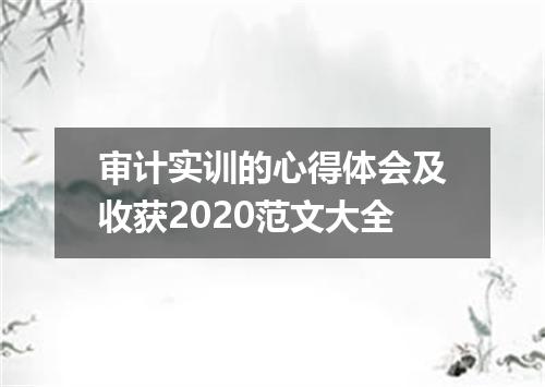 审计实训的心得体会及收获2020范文大全