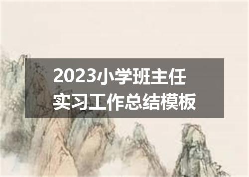 2023小学班主任实习工作总结模板