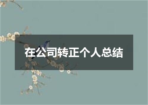 在公司转正个人总结