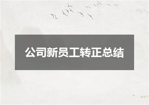 公司新员工转正总结