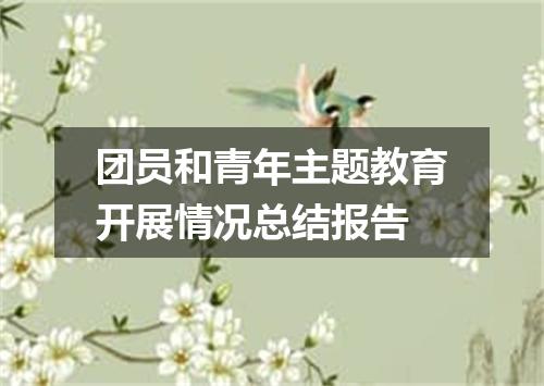 团员和青年主题教育开展情况总结报告