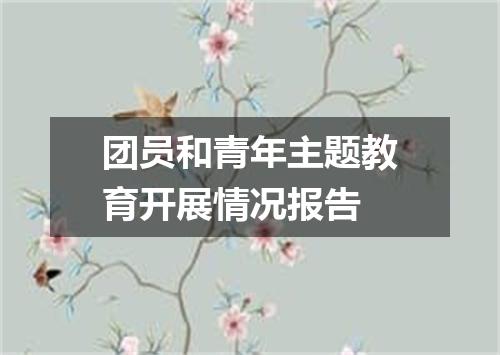 团员和青年主题教育开展情况报告