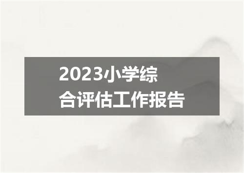2023小学综合评估工作报告