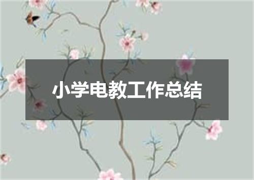 小学电教工作总结